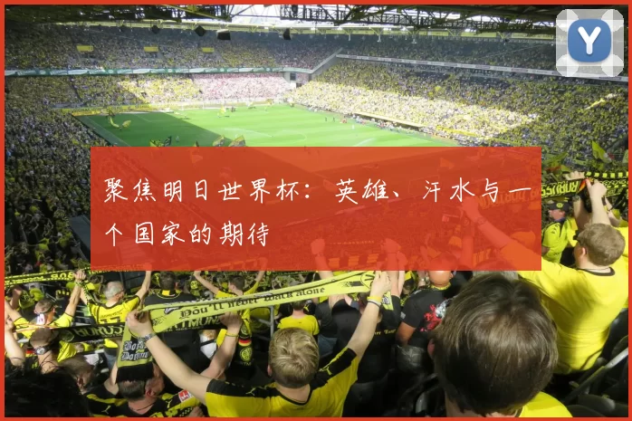 聚焦明日世界杯:英雄、汗水与一个国家的期待