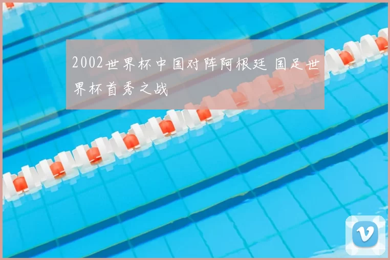 2002世界杯中国对阵阿根廷 国足世界杯首秀之战