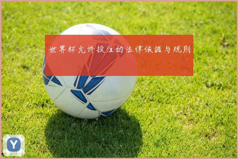 世界杯允许投注的法律依据与规则