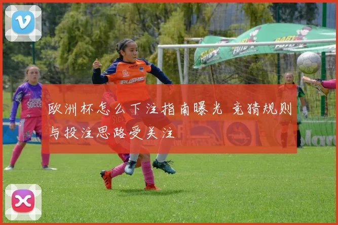欧洲杯怎么下注指南曝光 竞猜规则与投注思路受关注