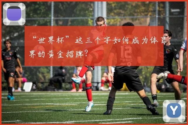 “世界杯”这三个字如何成为体育界的黄金招牌？
