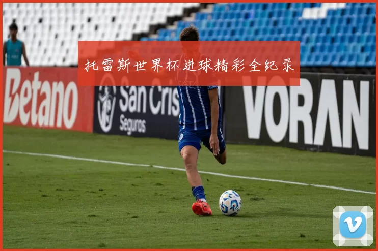 托雷斯世界杯进球精彩全纪录