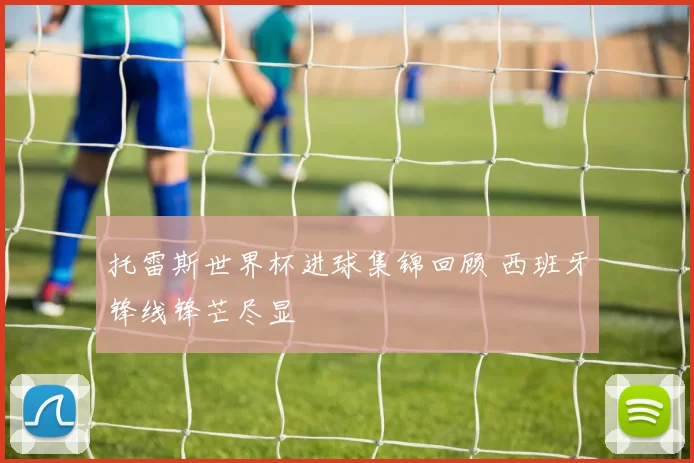 托雷斯世界杯进球集锦回顾 西班牙锋线锋芒尽显