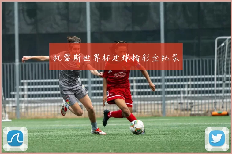 托雷斯世界杯进球精彩全纪录